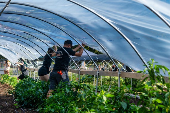 Un estudio del ibs.GRANADA analiza el impacto de la exposición a pesticidas en agricultores